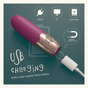 Mini Bullet Vibrator